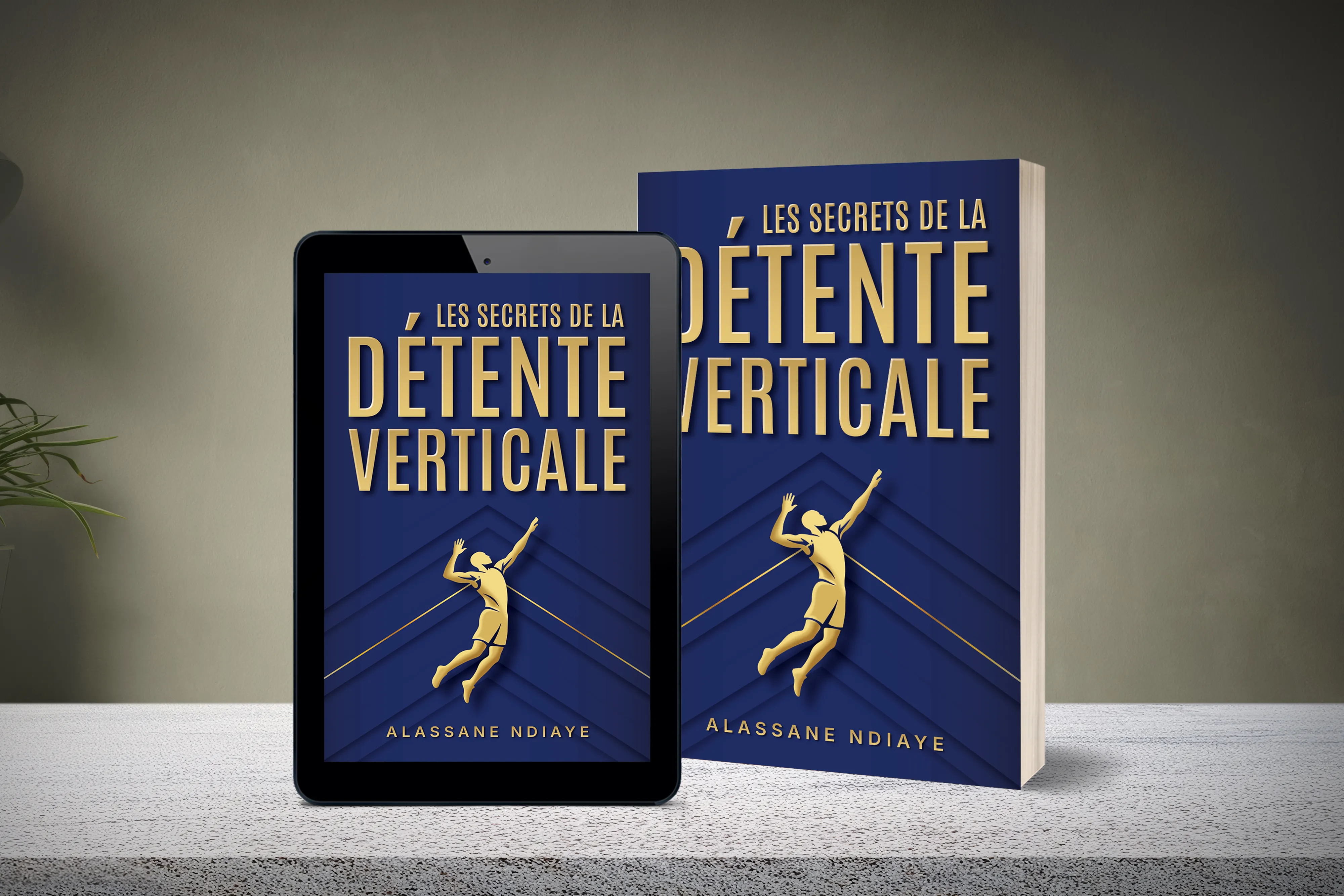 Le livre « Les Secrets de la Détente Verticale » en version papier et ebook